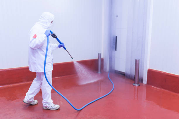 Professional Pressure Washing Services in West Branch, IA